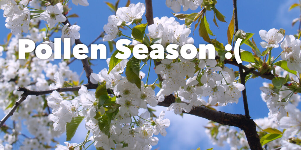 flowering tree in background with phrase "pollen season" on top
